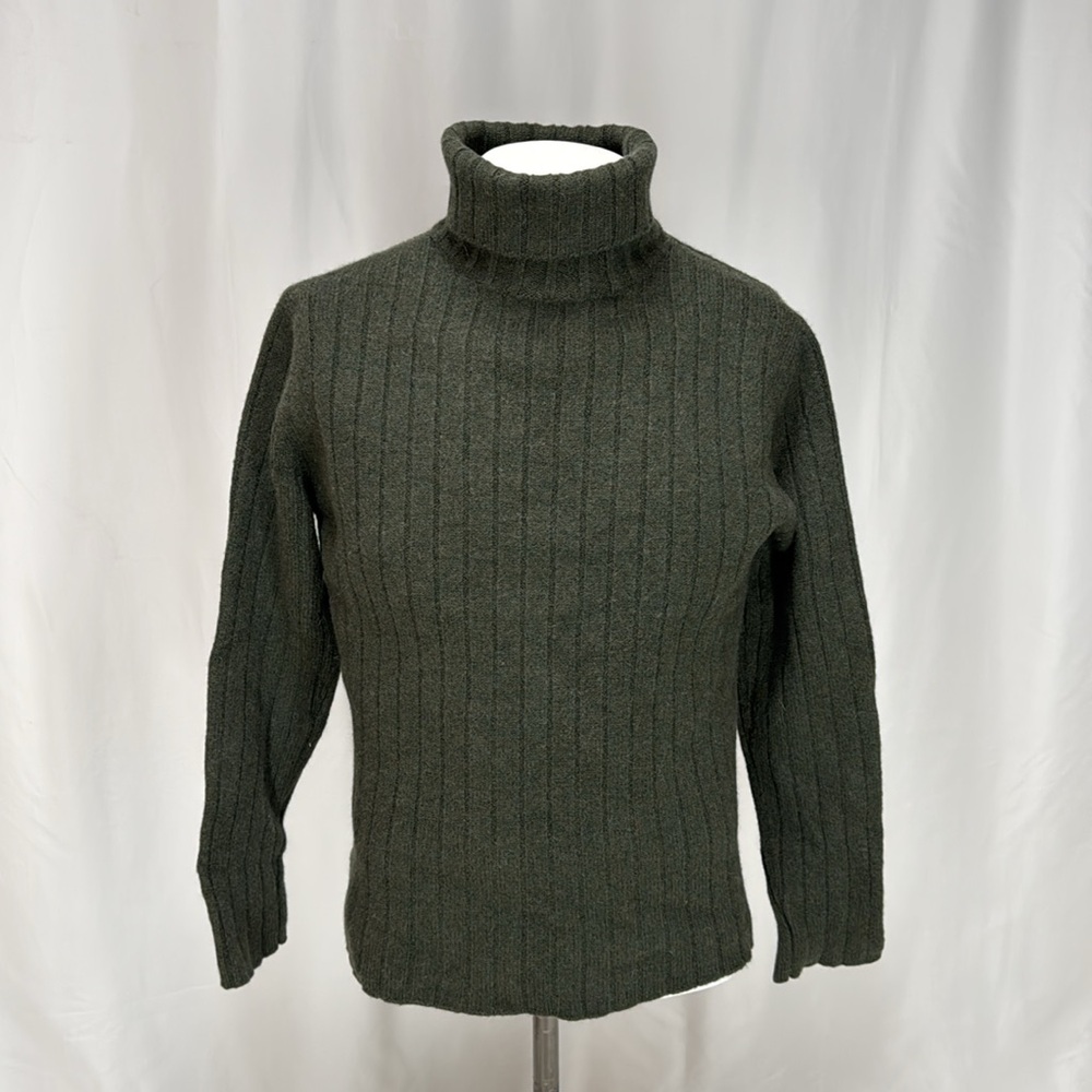 Banana Republic wool turtleneck seeater